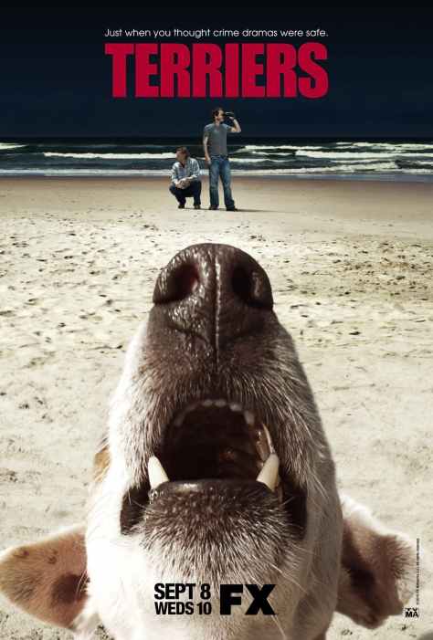 Terriers Poster
