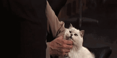 Blofeld
