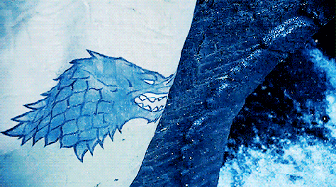 stark banner 2