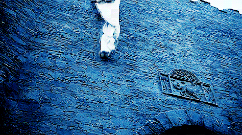 stark banner
